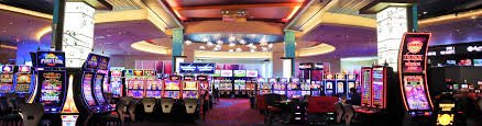 wolf 777 Live Casino